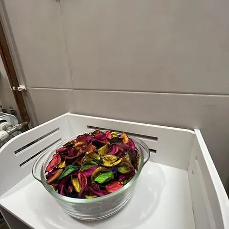 Oasis In Center Of Vracar